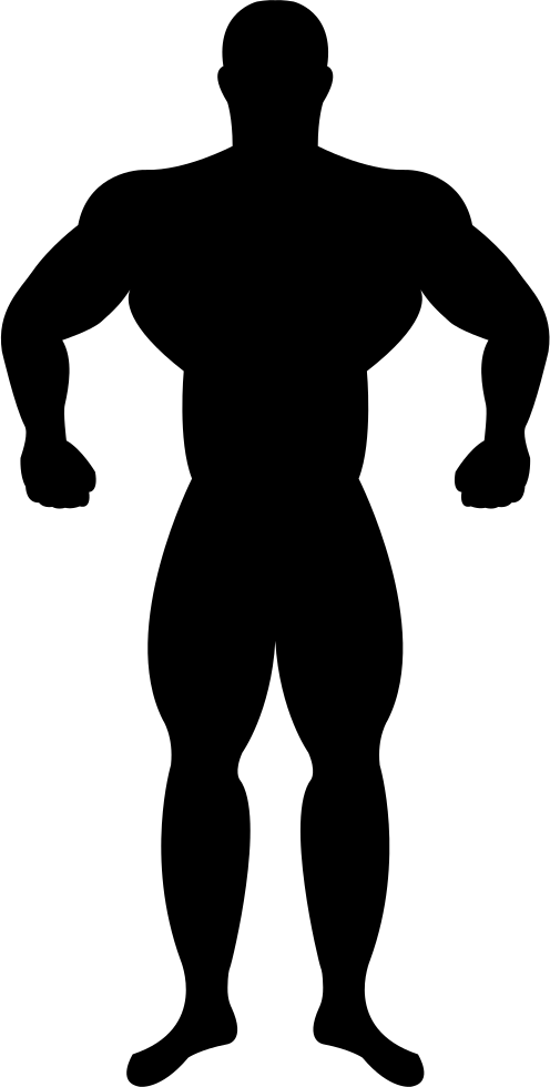 Muscular Gymnast Silhouette Svg Png Icon Free Download - Muscular Icon Png (496x980)