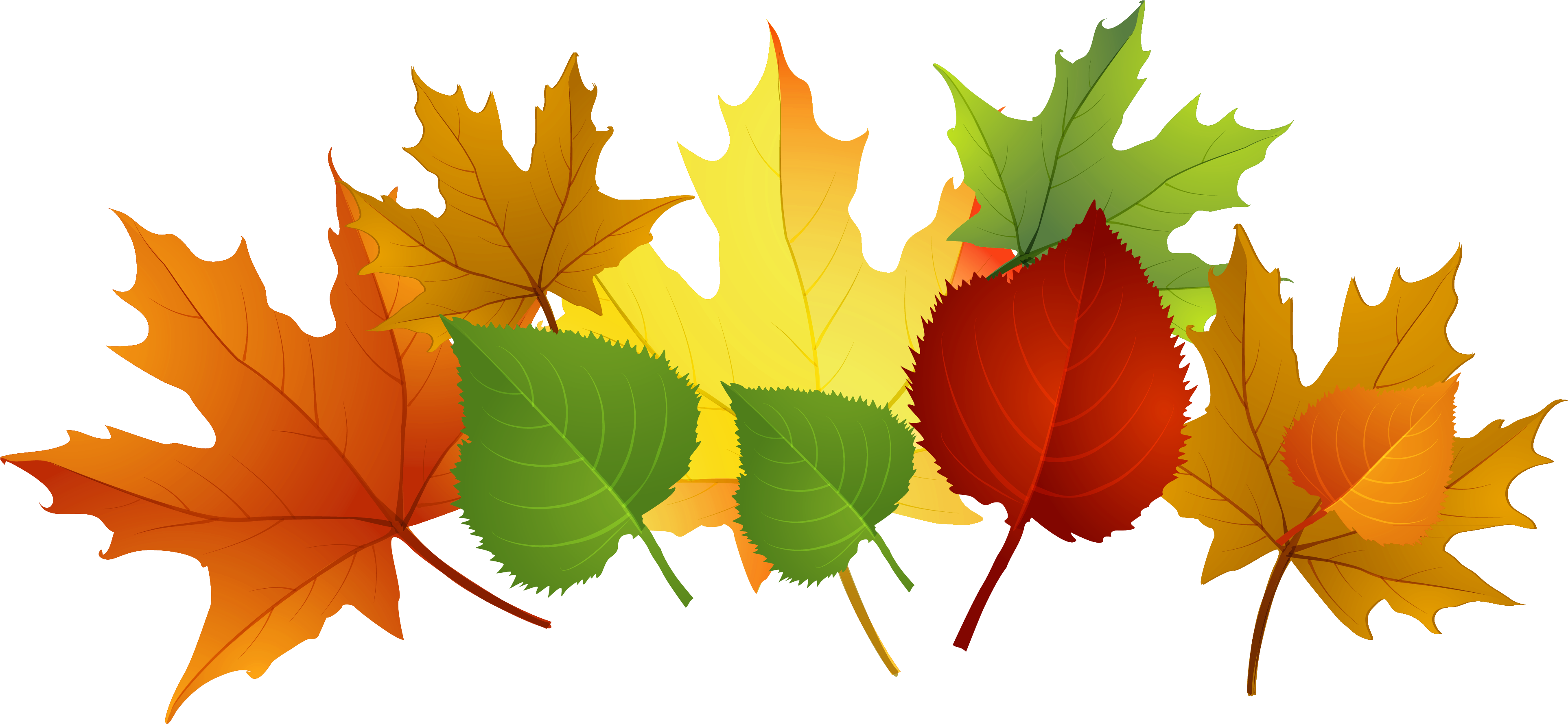 Fall Leaf Clip Art Free Cliparts That You Can Download - Clip Art Free Fall Leaves (3969x1910)