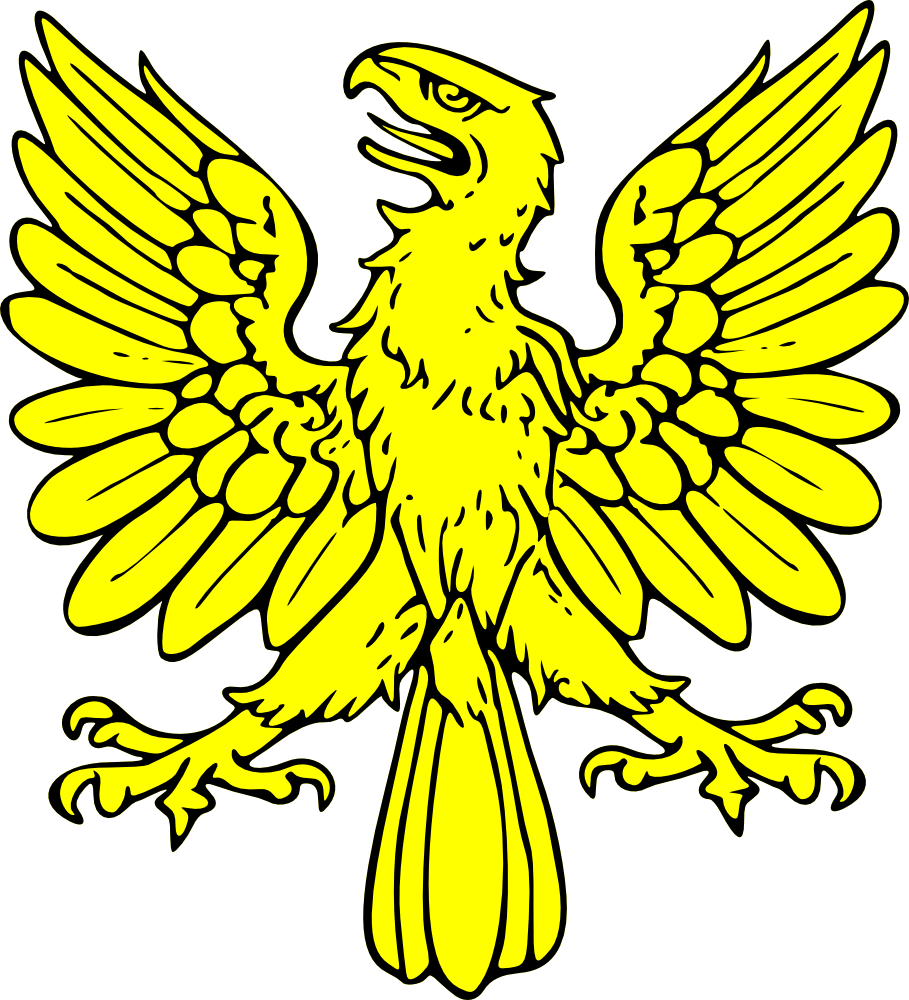 Symbol, Shield, Eagle, Bird, Gold, Coat, Arms, Crest - American-badass-b Queen Duvet (909x1000)