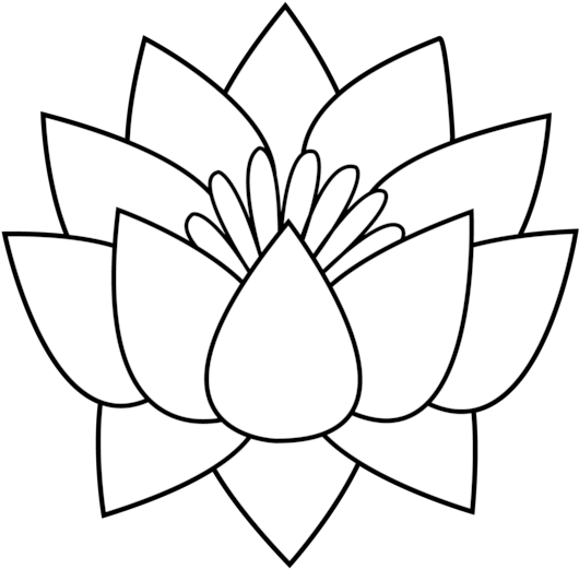 Lotus Flower Line Art - Lotus Flower Drawing Cartoon (550x533)