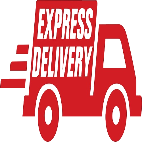 Express Delivery - Express Shipping Logo (500x500)