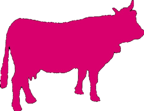 Tipsy Cow Madison - Kuh Clipart (465x358)