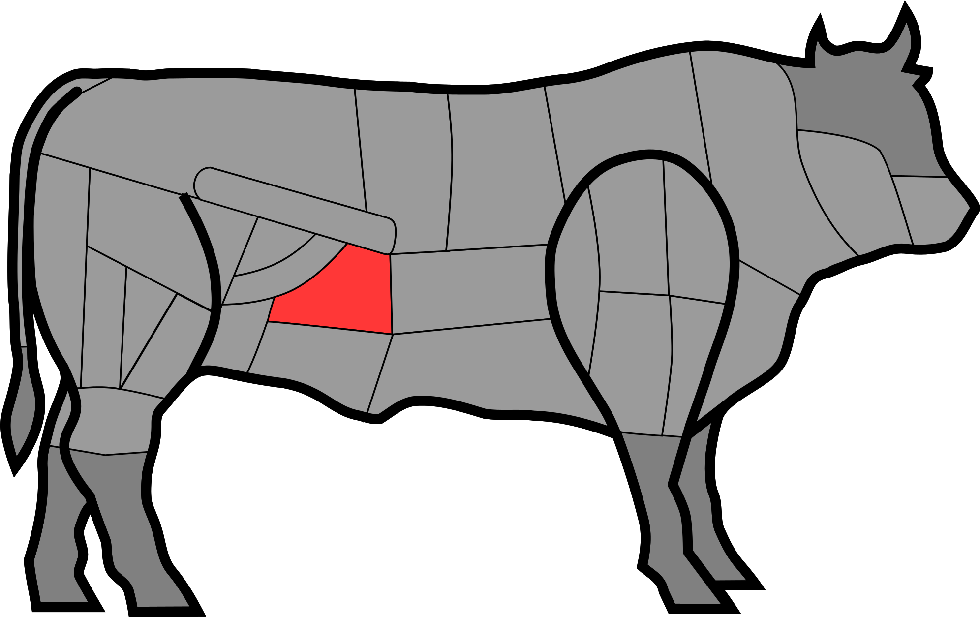 Part Of Chianina Cow Used For The Florence Steak - Bistecca Alla Fiorentina Taglio (1000x631)