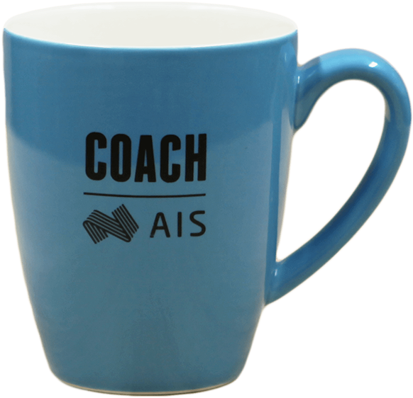 Coach Mug - Beer Stein (600x600)