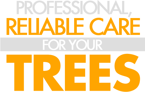 Made To Measure (500x340)