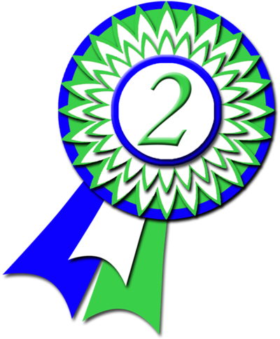 Grand Champion's Cup Of Sakura Ribbon 2nd Place By - Herbie Fireworks (400x483)