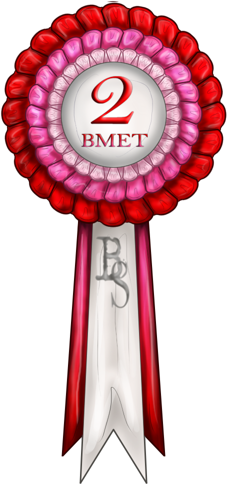 2nd Place Ribbon By Baringa Of The Wind - Clip Art (537x1000)