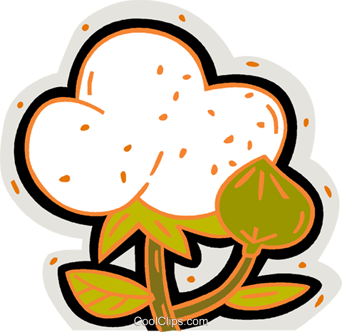 Cotton Plant Royalty Free Vector Clip Art Illustration - Cotton Clipart Transparent (480x466)