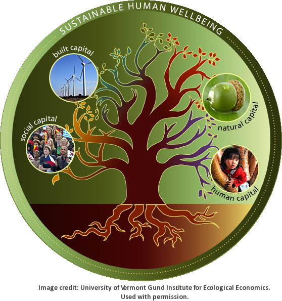 Ecological Economics - Ecological Economics (558x595)