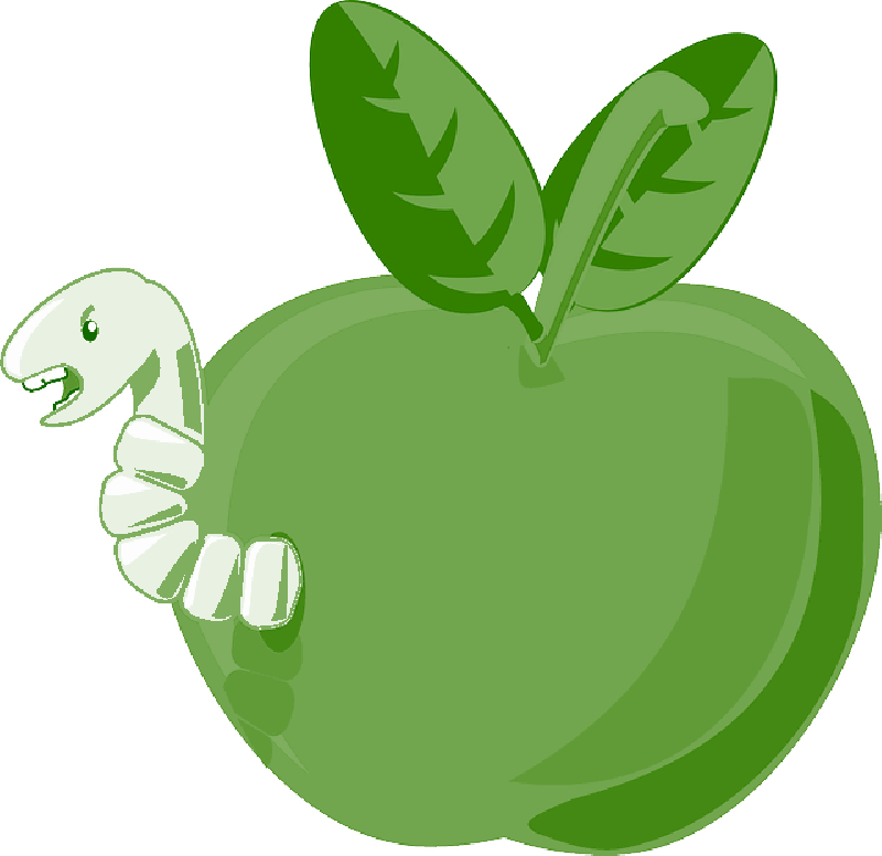 Red, Green, Apple, Food, Fruit, Small, Apples, Bitten - Transparent Background Of Cartoon Apple (800x776)