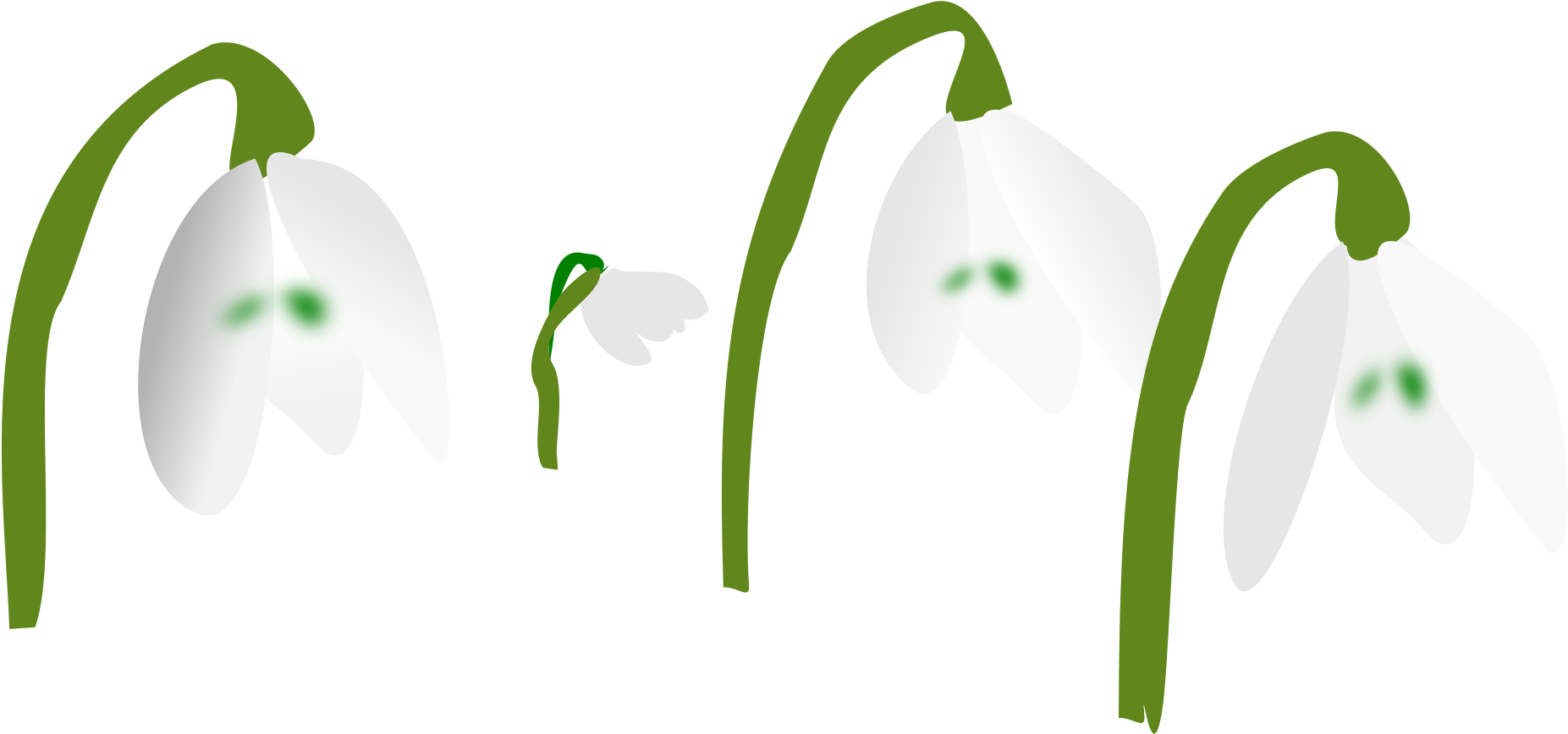 Big Image - Snowdrop (2400x1440)
