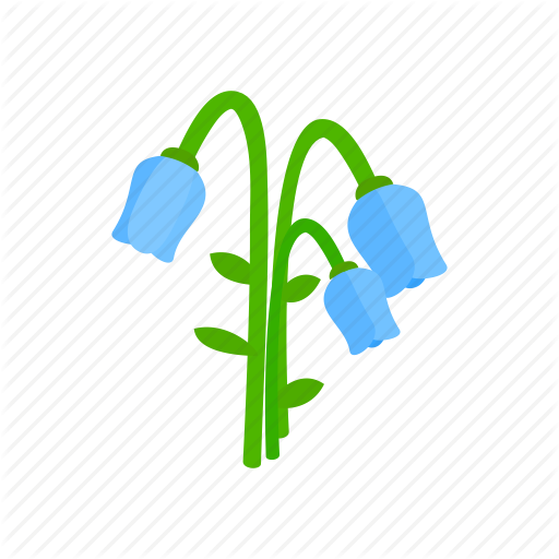 Bellflower Png Transparent Images - Illustration (512x512)