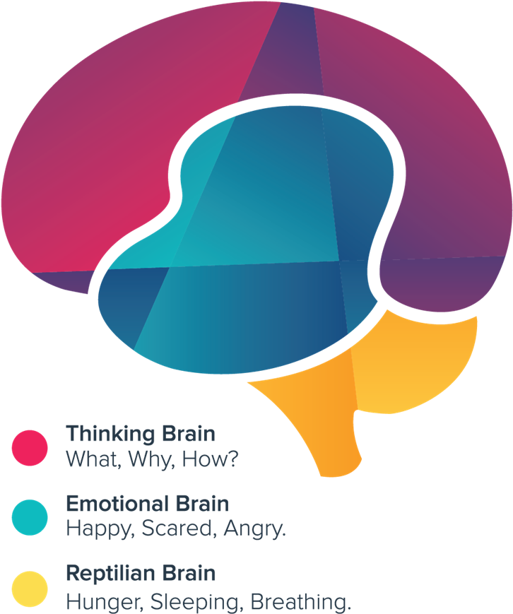 Using Scientifically Developed Techniques From Around - Using Scientifically Developed Techniques From Around (873x1032)