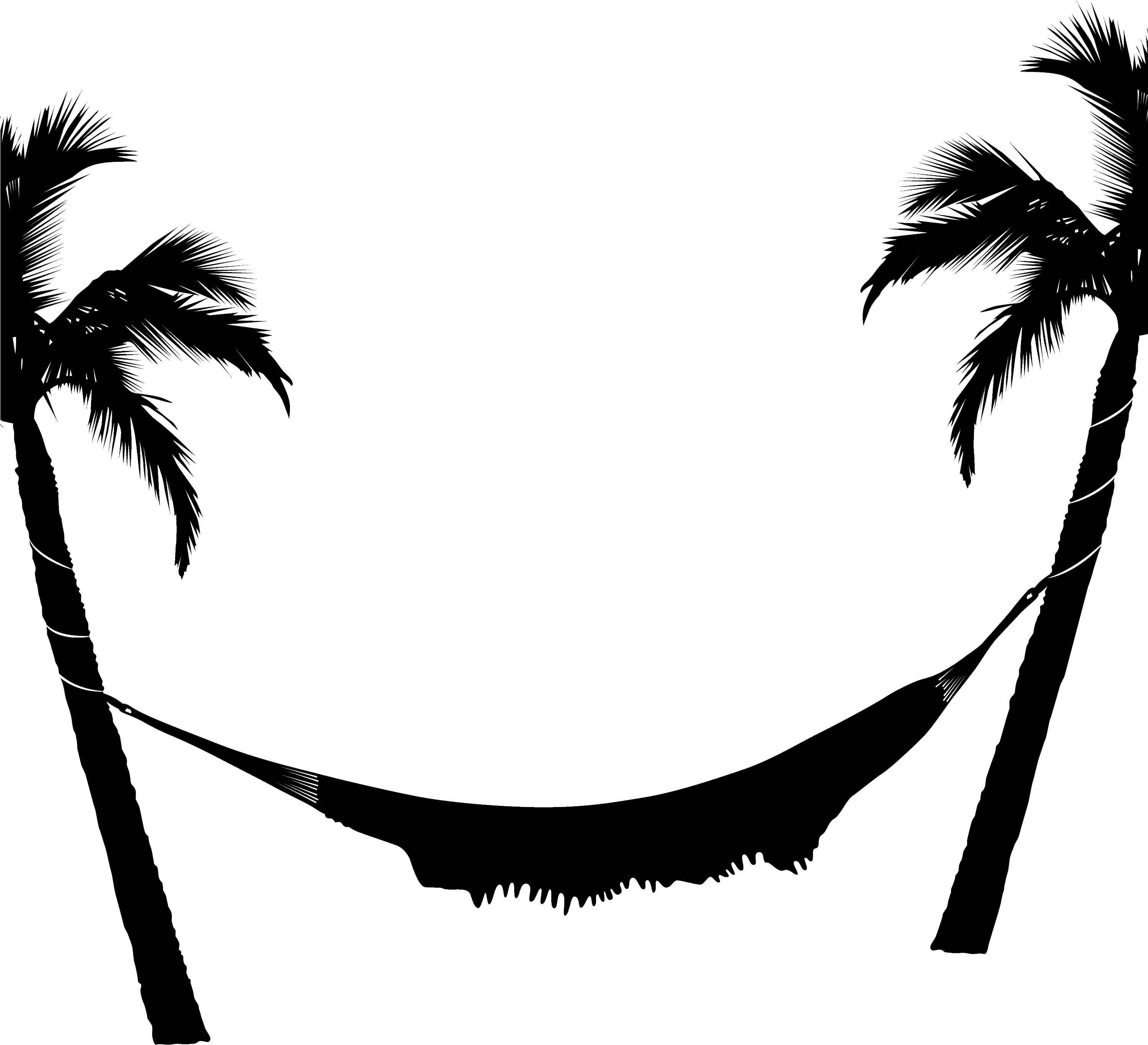 Photo Of Hammock And Palm Trees As Transparent - Black And White Palm Tree Hammock (3000x3000)