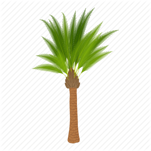 Coconut Tree Clip Art At Hanslodge - Palm Tree Cartoon (512x512)