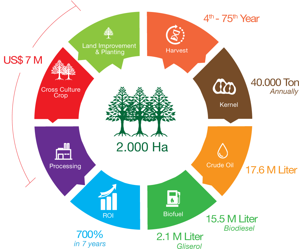 2000 Ha Model Plantation - Gif Images For Website (1000x1000)