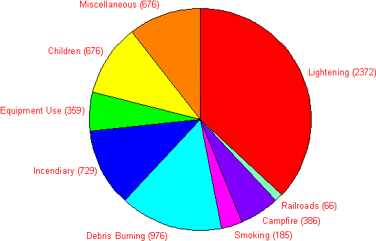 Forest Fire Friend Or Foe Rh Angelfire Com Diagram - Us Gdp By Industry (590x478)