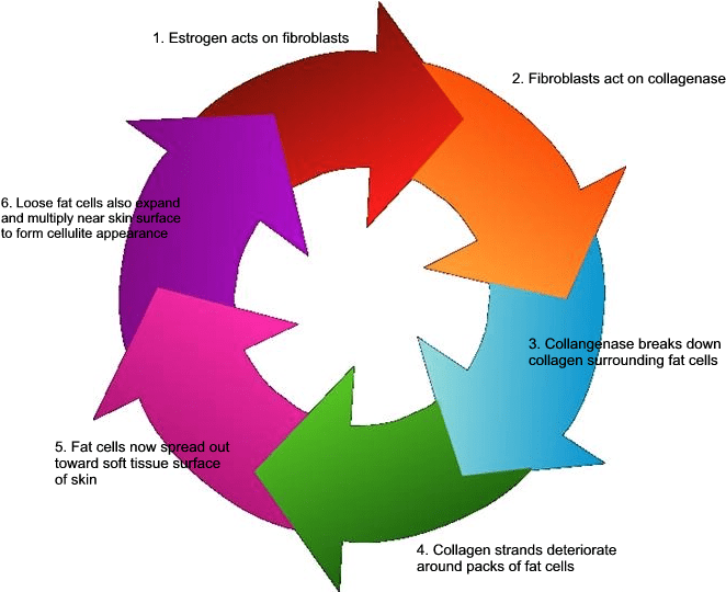 Itil Continual Service Improvement (698x552)