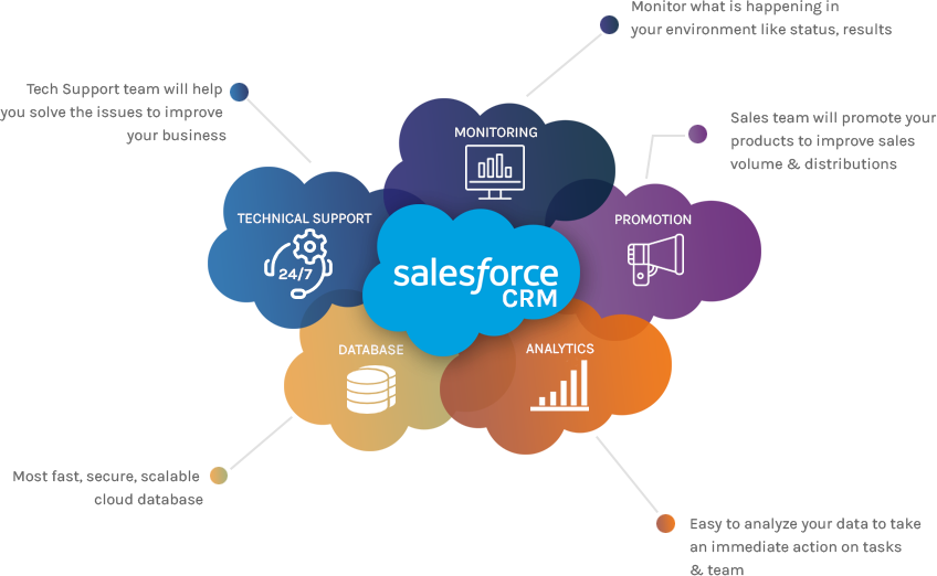 Salesforce Crm Consulting Services Company In Usa Micropyramid - Salesforce Graphics (848x522)
