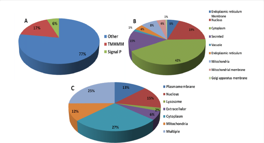 Download - Diagram (850x462)