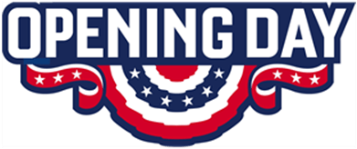 2015 Major League Baseball Season (500x300)