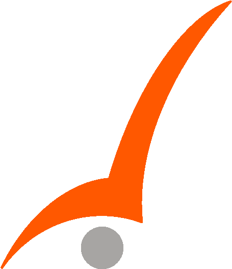 Mrs Check Mark Orange Copy - Check Mark (466x540)