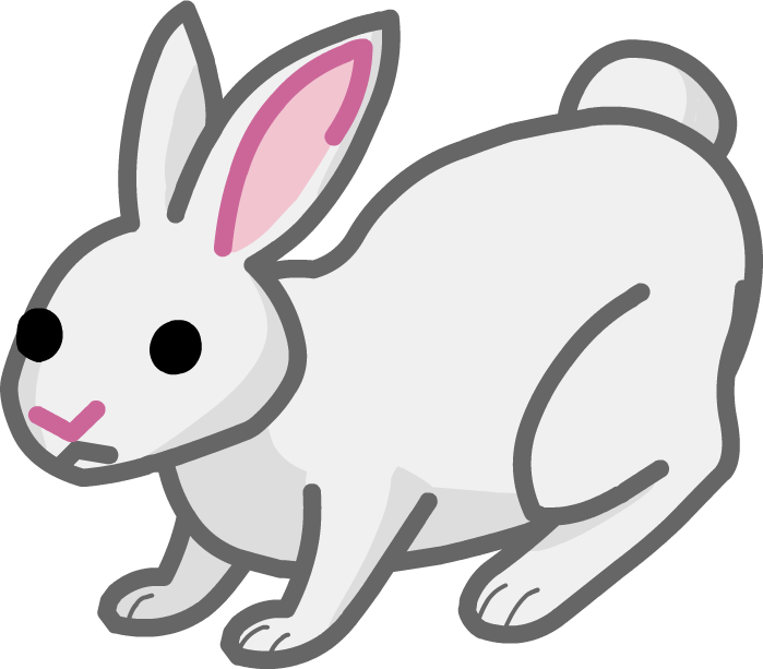 Secondly There Are Brown And White Bunnies - Domestic Rabbit (699x613)