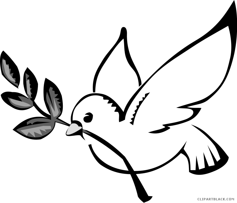 Dove Animal Free Black White Clipart Images Clipartblack - Dibujo Paloma De La Paz (800x687)