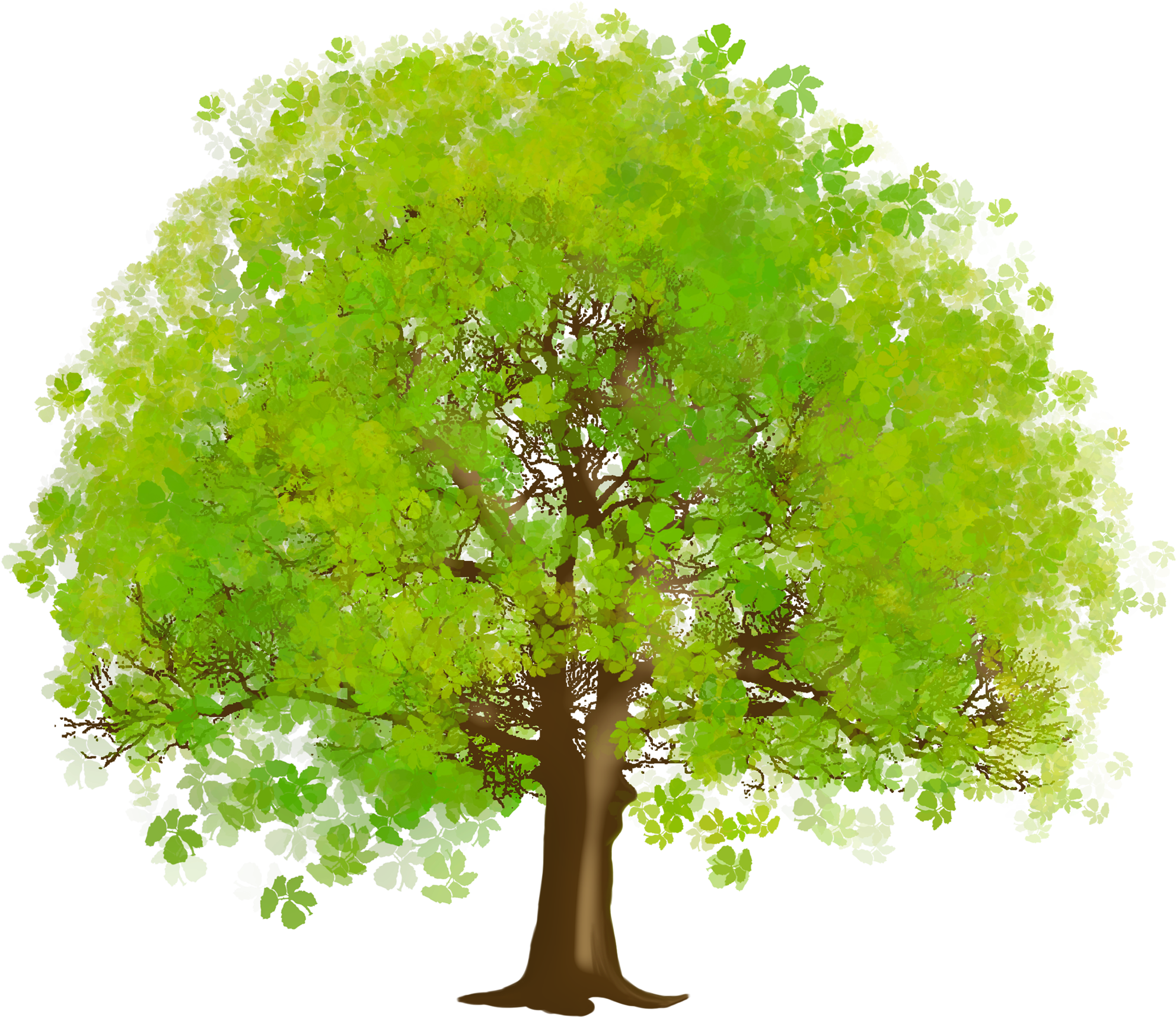 Large Green Tree Png Clipart - Tree Clipart (2000x1738)
