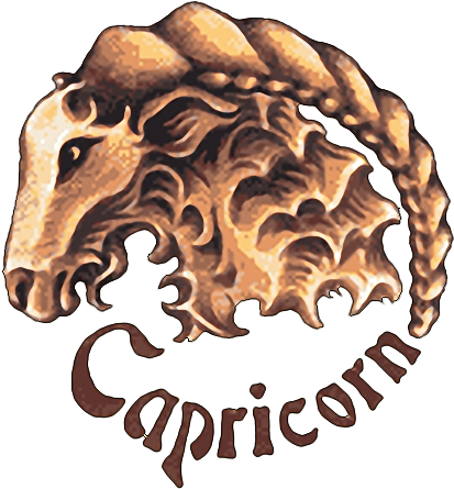 Capricorn Tattoo Design - Tattoo Pics Of Capricorn (419x450)
