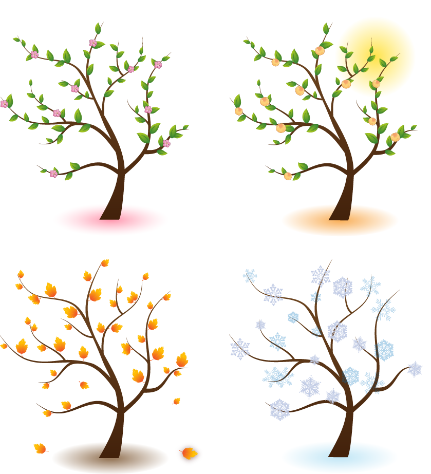 Season Tree Clip Art - Four Seasons Tree Png (839x923)