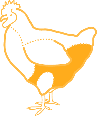 Chicken Thighs - Chicken (318x379)