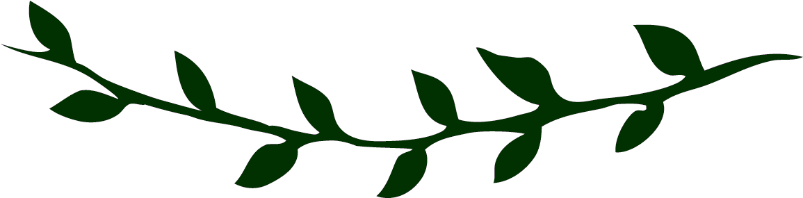 I Am So Thankful For The Increasing Flow Of Abundance - I Am So Thankful For The Increasing Flow Of Abundance (1172x302)