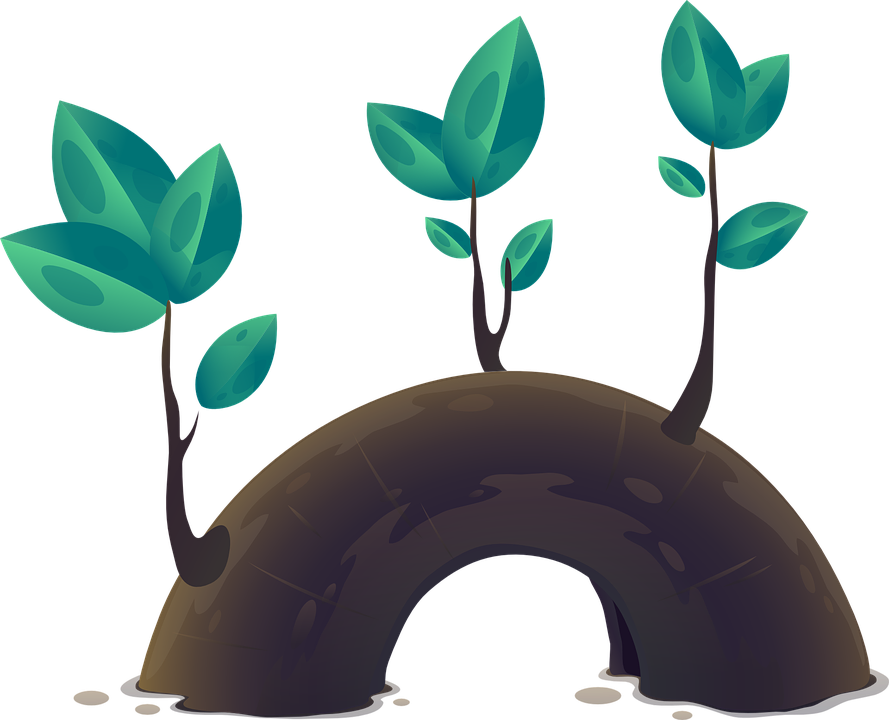 Growth By The Numbers - Plantas Animadas Png (889x720)