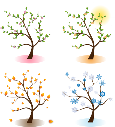 Four Season Trees Png Png Images - Four Seasons Tree Png (400x452)