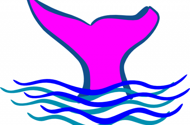 Whale Clip Art - Tails Clipart (640x420)