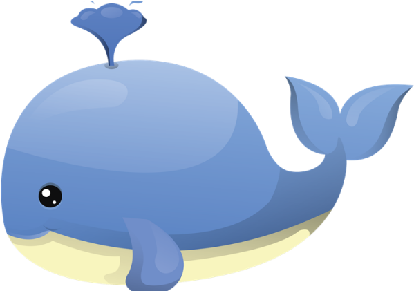 Whale Clip Art - Whale Clipart (640x420)