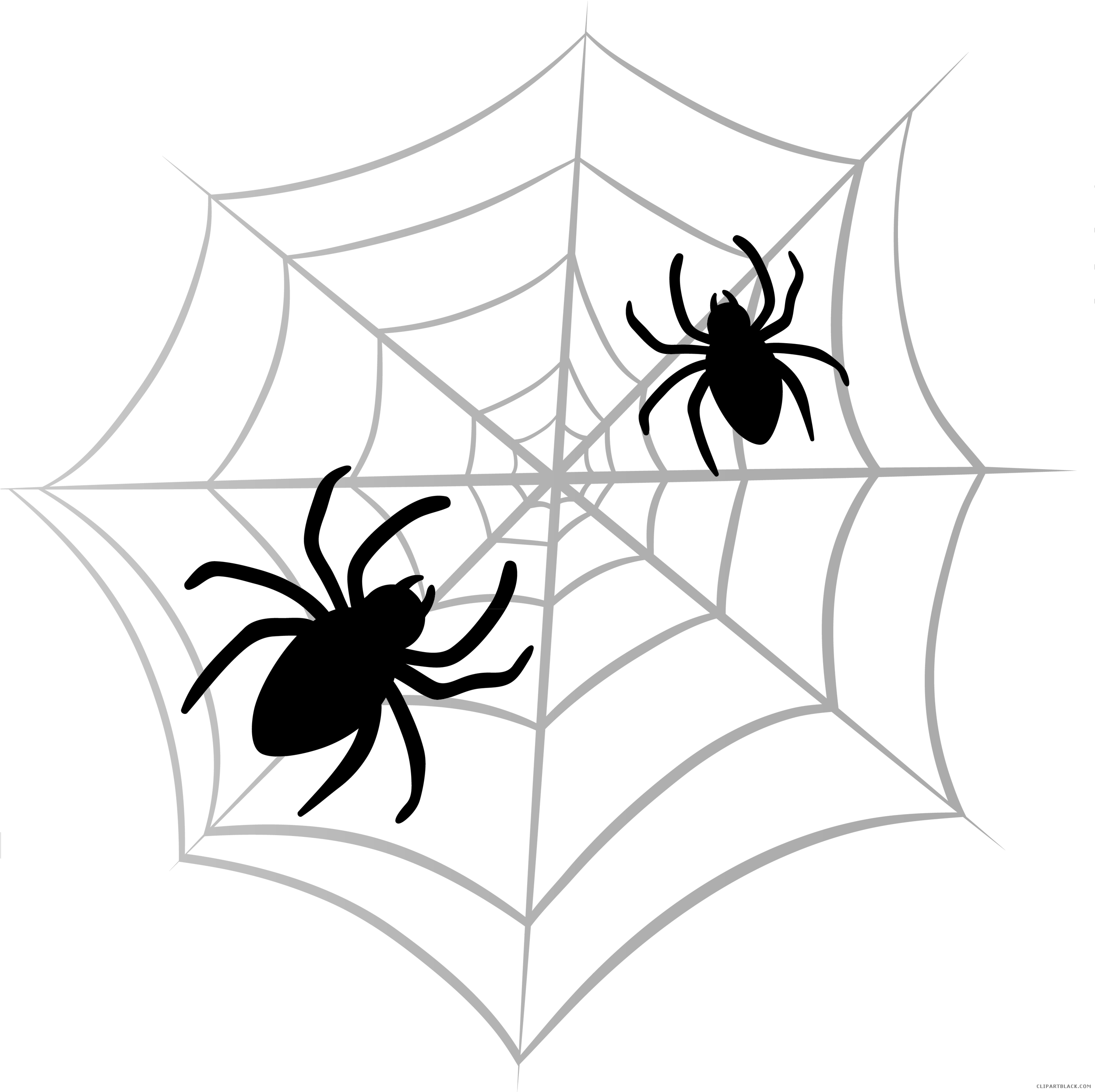 Halloween Spider Web Animal Free Black White Clipart - Halloween Clip Art Png (2500x2535)