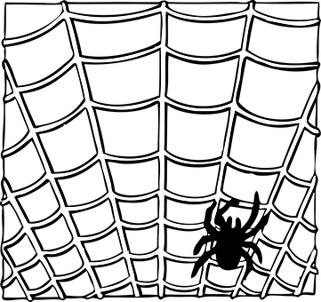 Spider, Web, Insect, Animal, Halloween - Spider Web Clip Art (361x340)