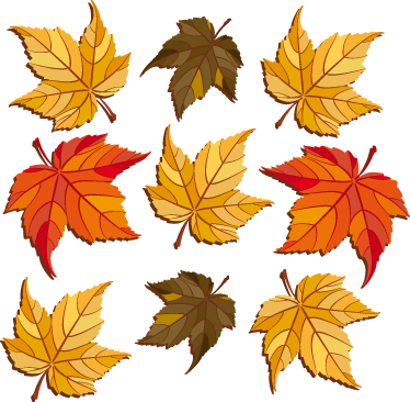 Autumn Leaves Wall Decal - Dm便送料無料【au Urbano V02ケース】[v02 ケース/v02 カバー][ケース/カバー/case/ケ−ス][アクセサリー/スマホケース/スマートフォン用 (374x366)