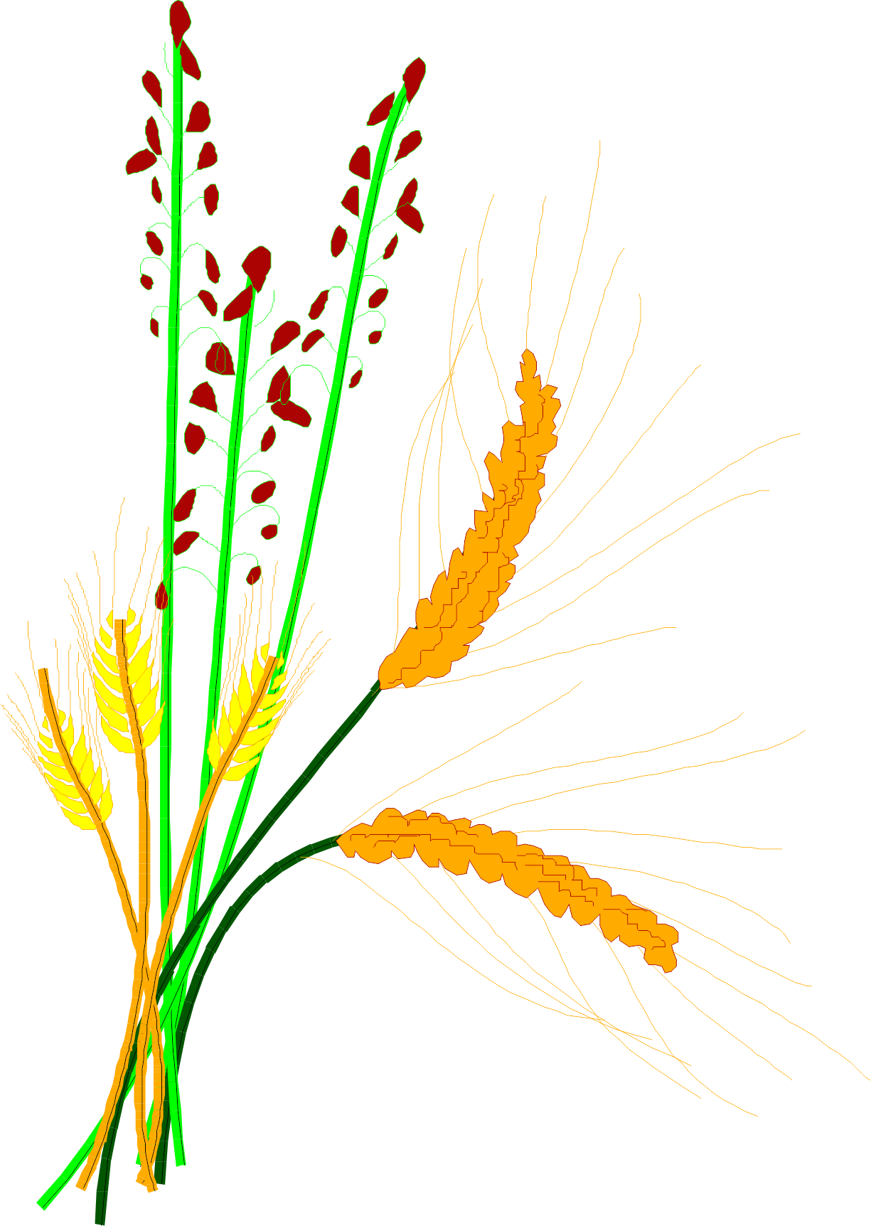 Rice Clipart Cereal Plant - Clip Art (1225x1724)