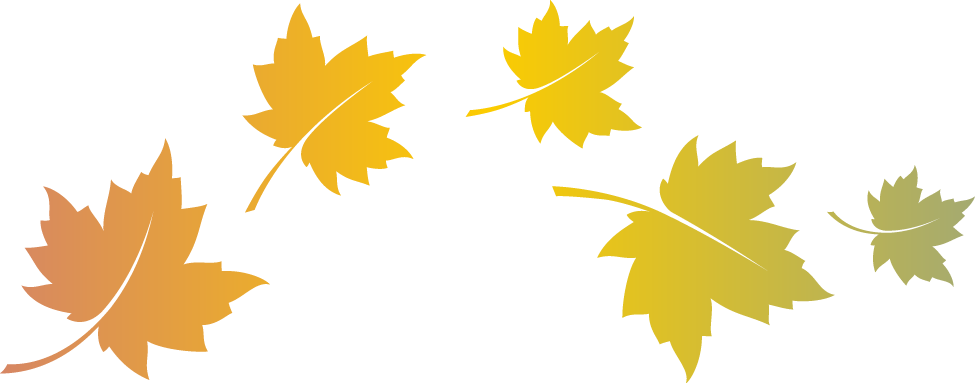 Tuella Creates Care Homes That Celebrate Our Autumn - Tuella Creates Care Homes That Celebrate Our Autumn (975x383)