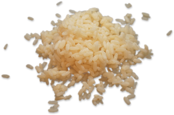 Andrea Rice - White Rice (600x401)
