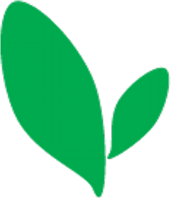 Mintleaf Studio - Mint Leaf (400x400)