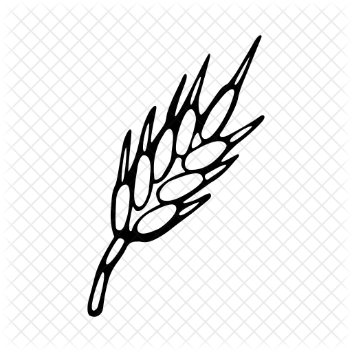 Wheat Icon - Wheat (512x512)