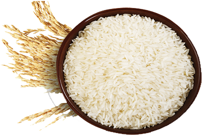 Basmati Rice - Rice Grains Png (450x322)