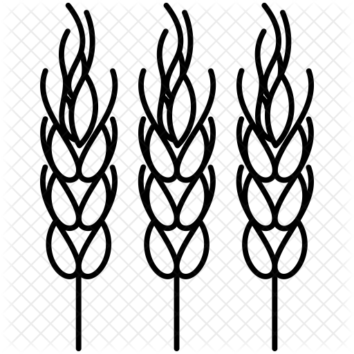 Wheat Icon - Wheat (512x512)