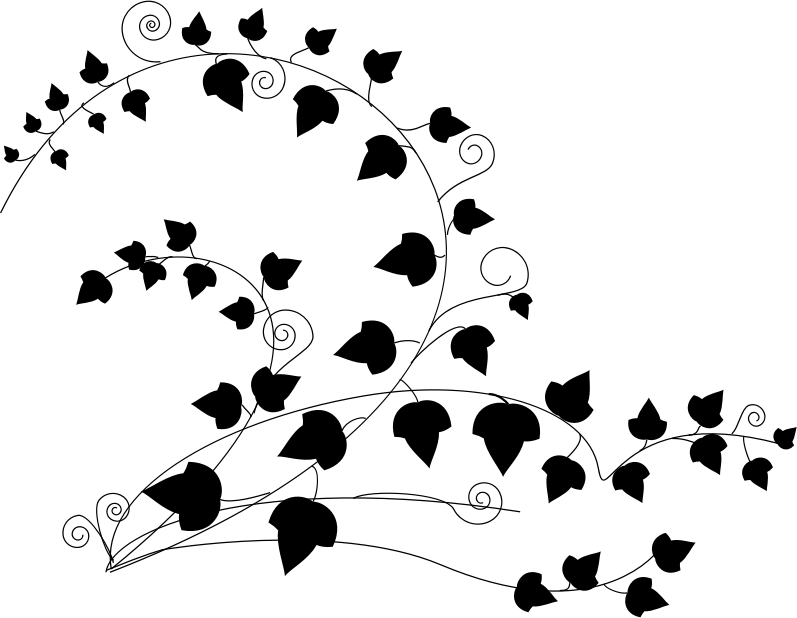 Ivy Png Black And Whte (797x618)