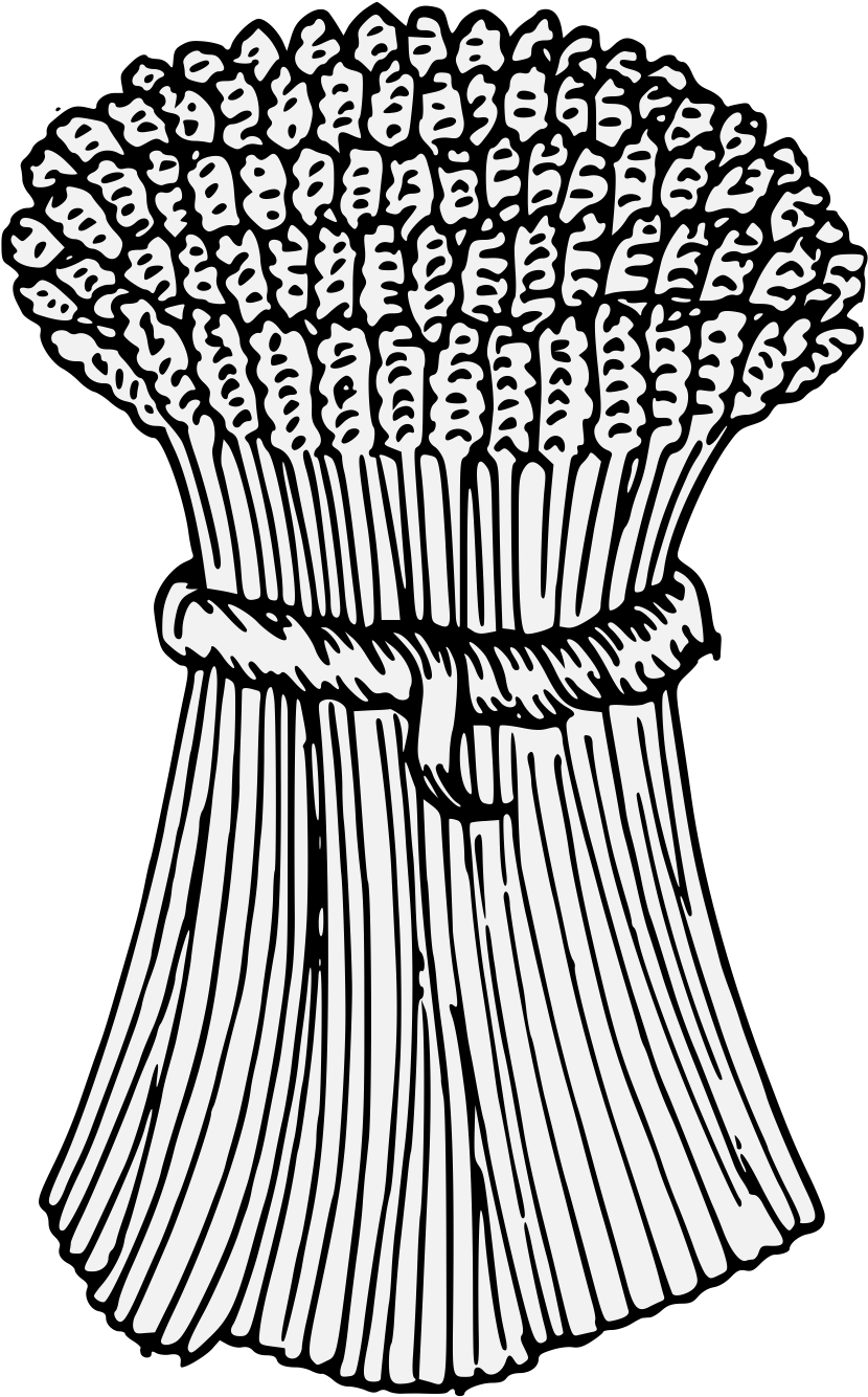 Details, Png - Sketch (843x1355)