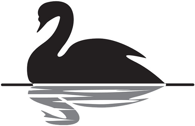 The Black Swan - Swan Black And White Png (630x407)